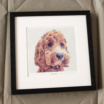 Pet Pencil Style Portrait